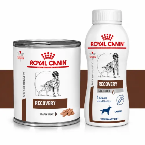 Royal Canin Recovery Liquid Cat Food